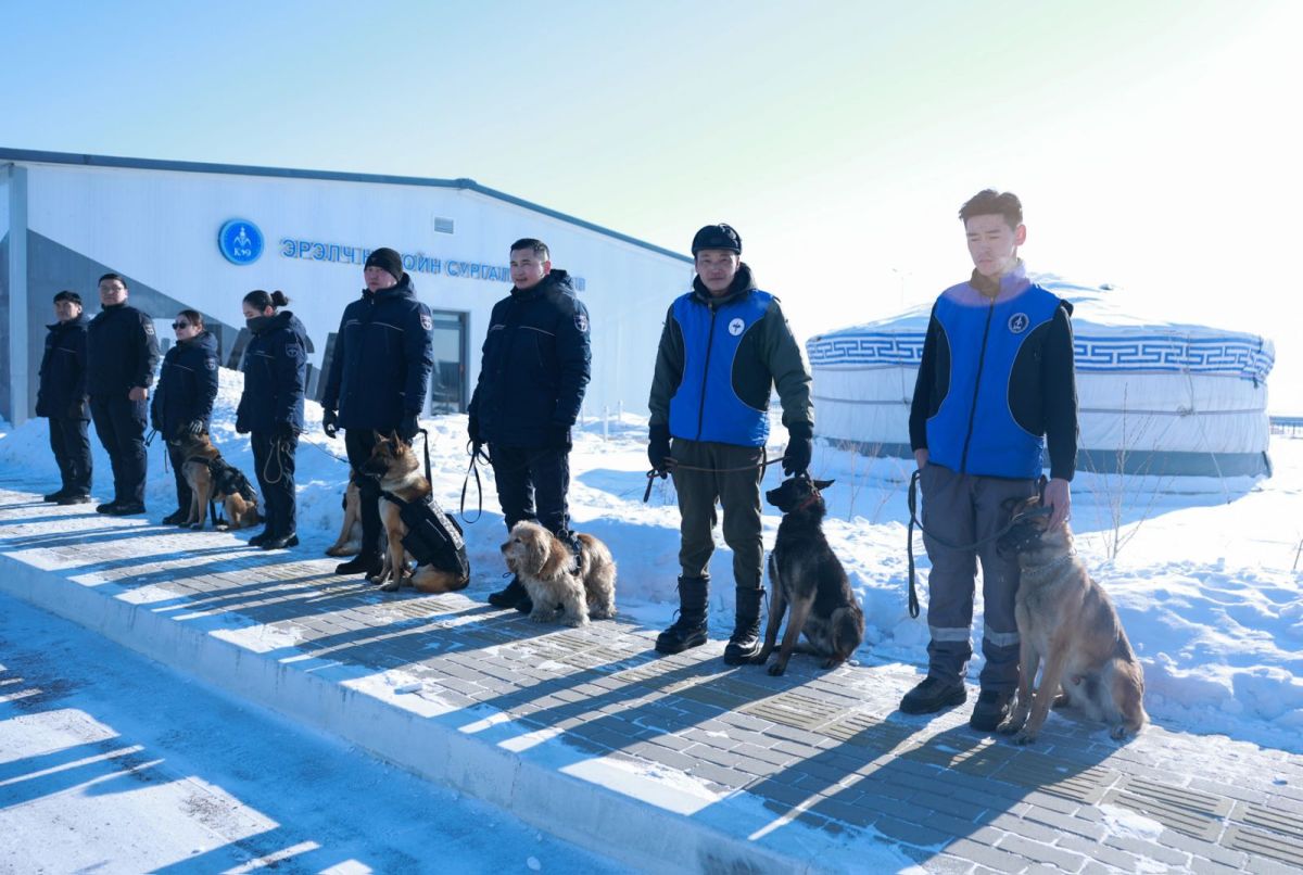 Мансууруулах эм, сэтгэцэд нөлөөт бодисын 30-40 хувийг эрэлч ноход илрүүлсэн